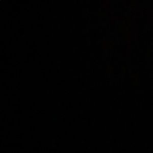 Meet your Posher, Frances